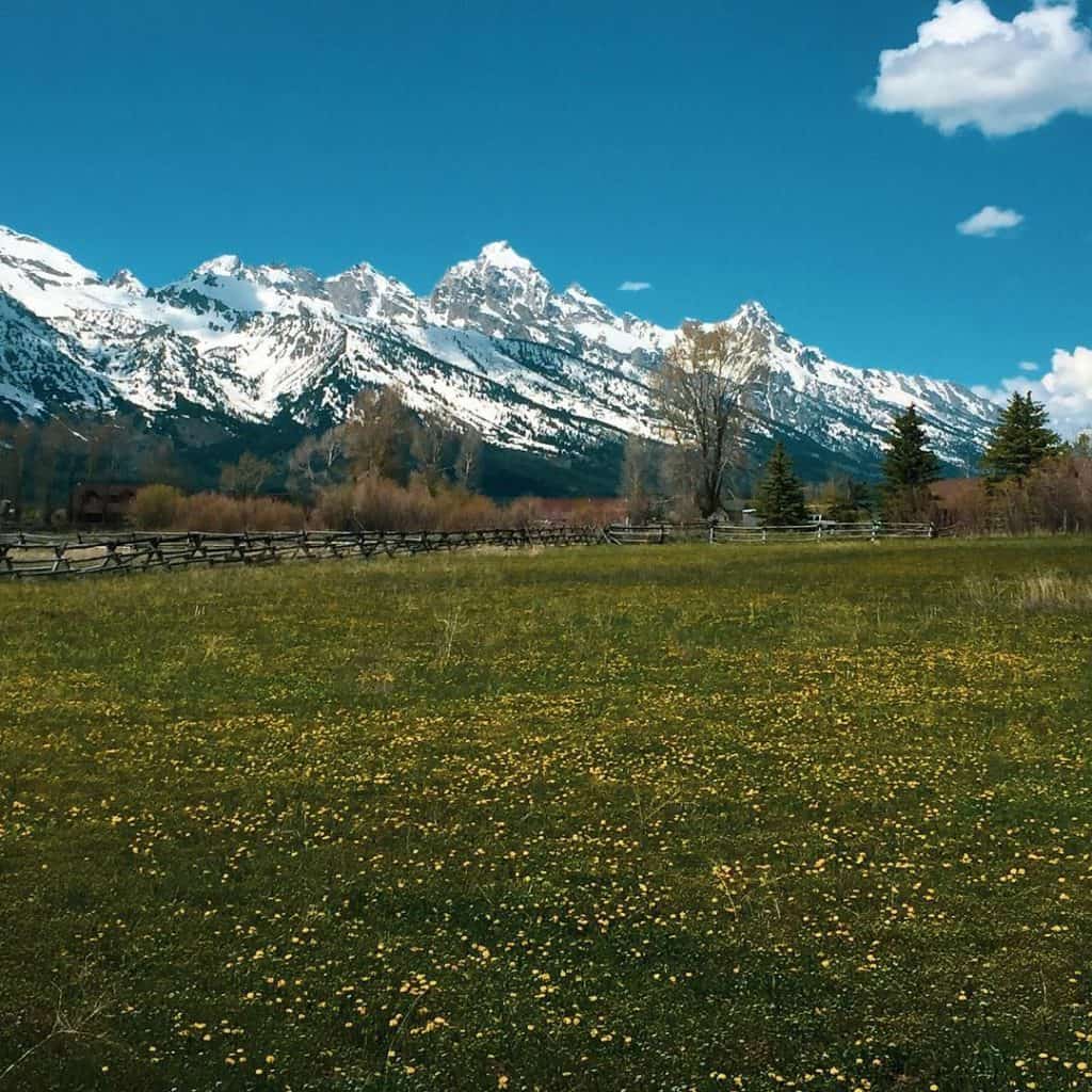 best months to visit jackson hole