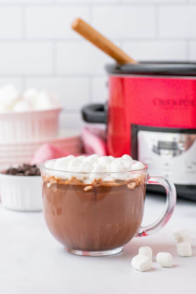 slow-cooker-hot-chocolate-for-a-crowd-allfreeslowcookerrecipes