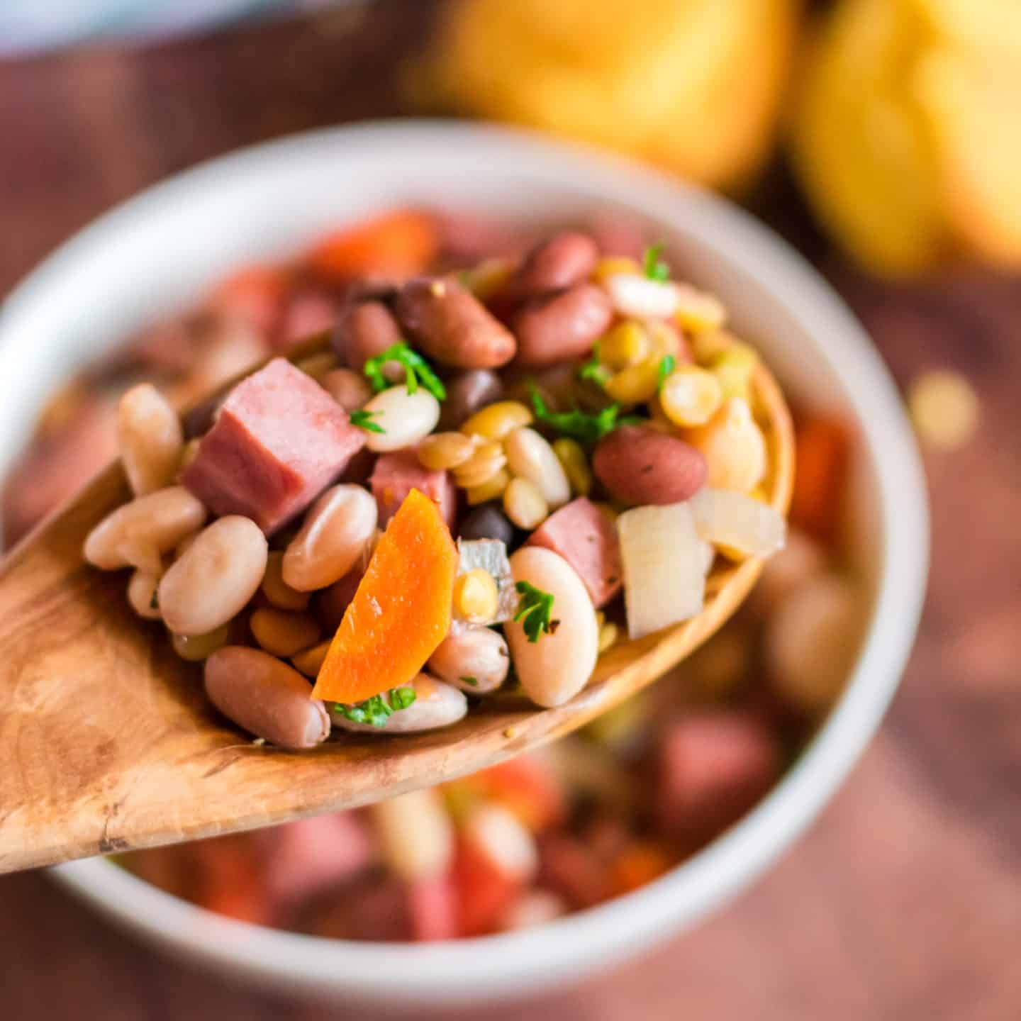 slow cooker ham and bean soup