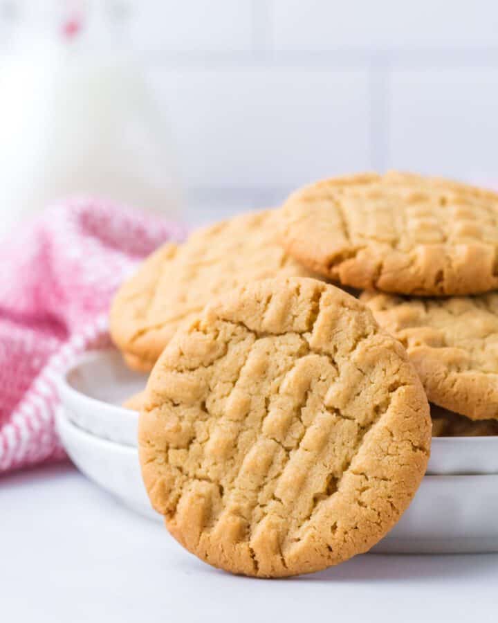 classic peanut butter cookie