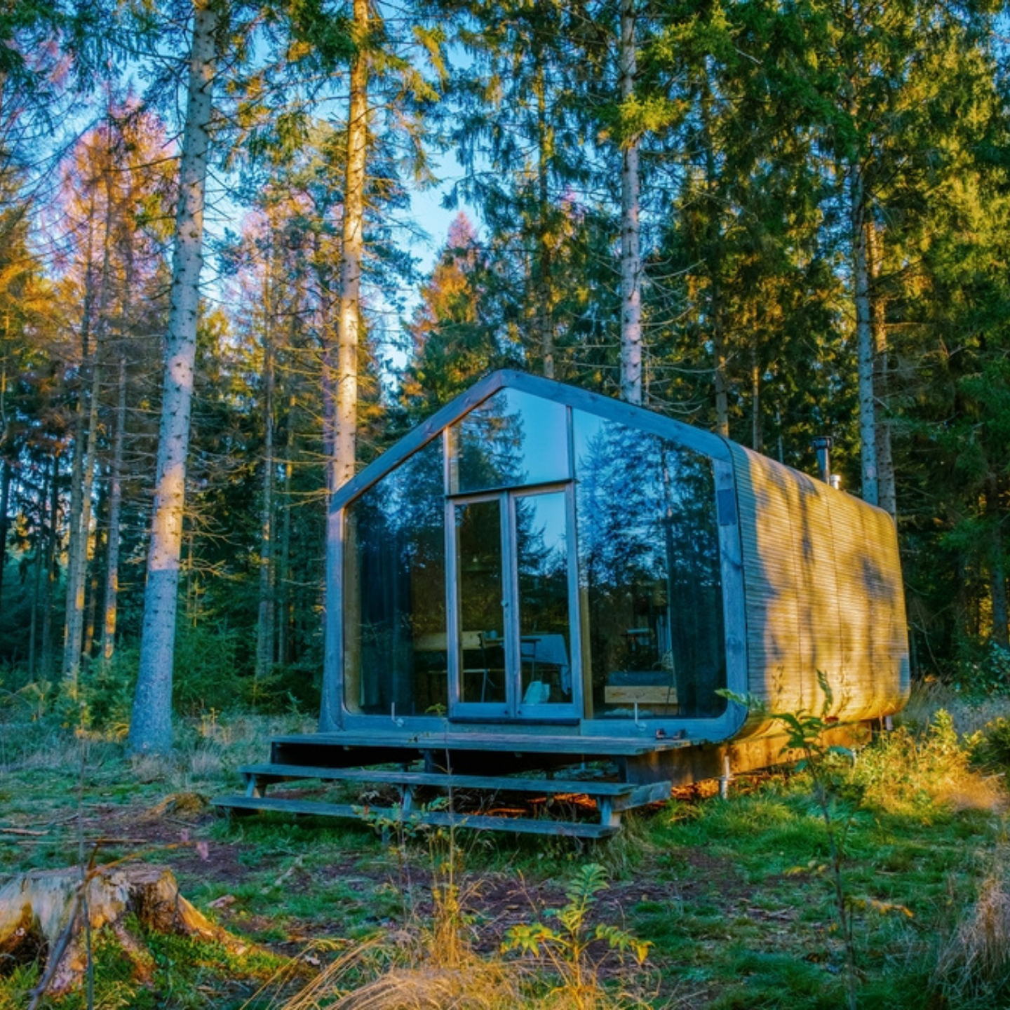 off grid cabin