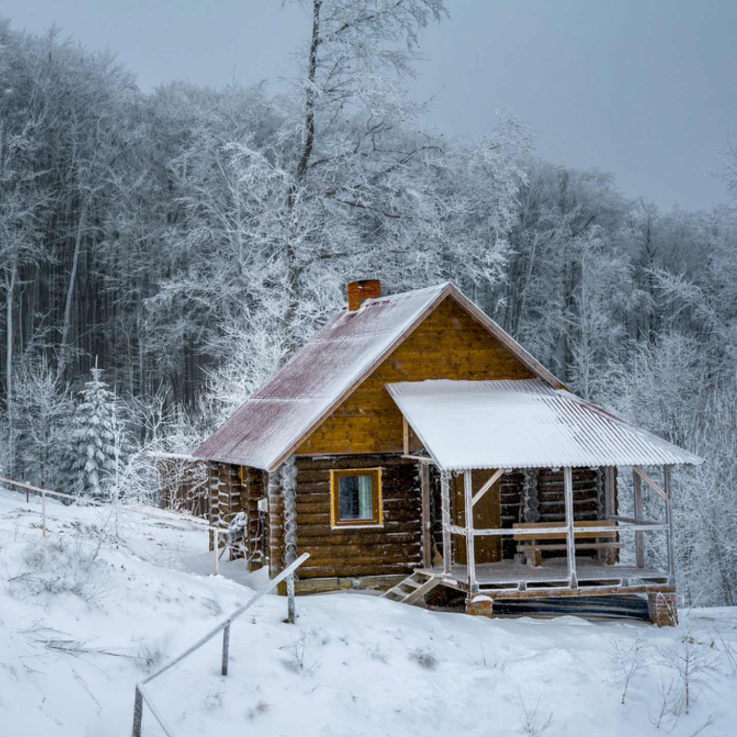 off grid cabin