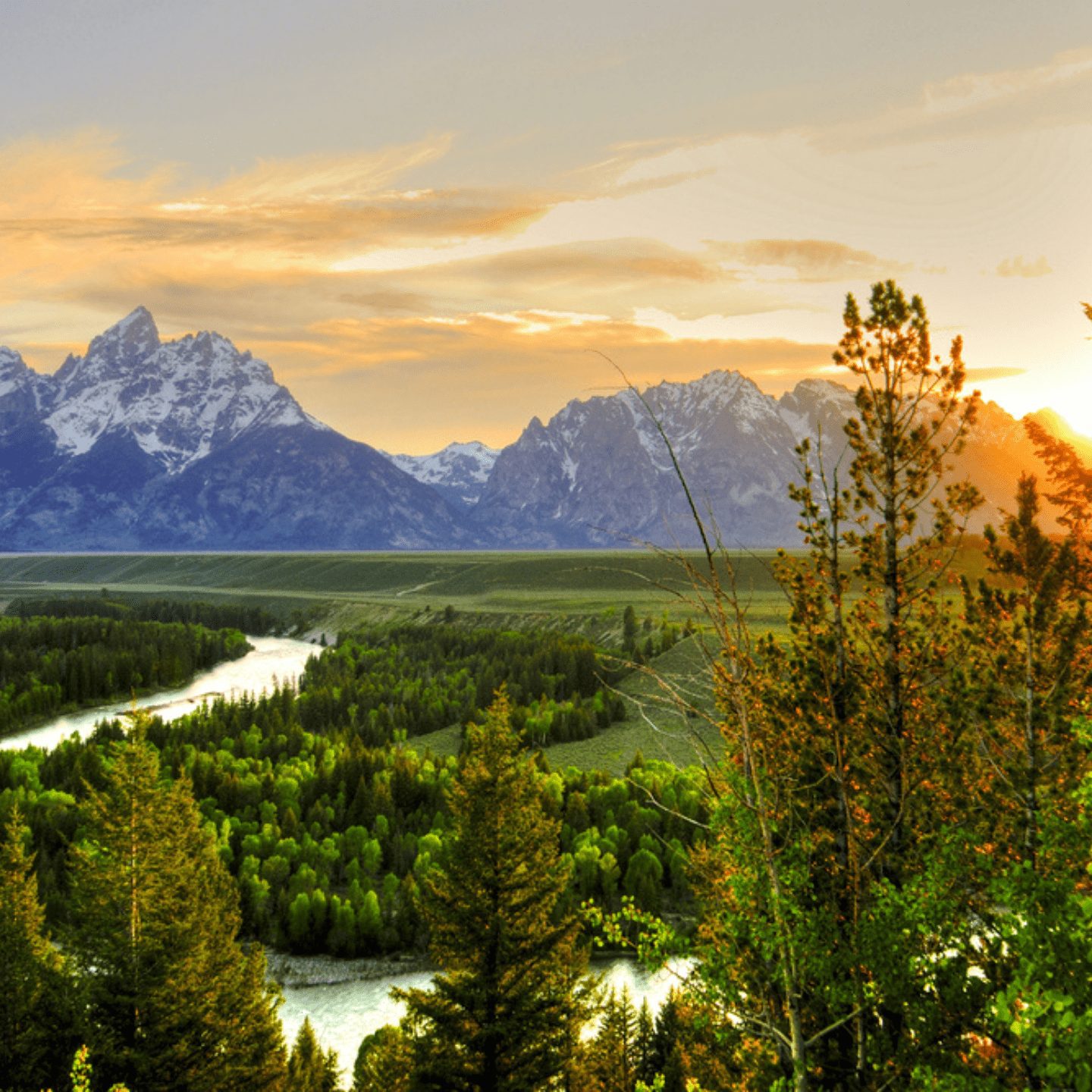 jackson hole to yellowstone