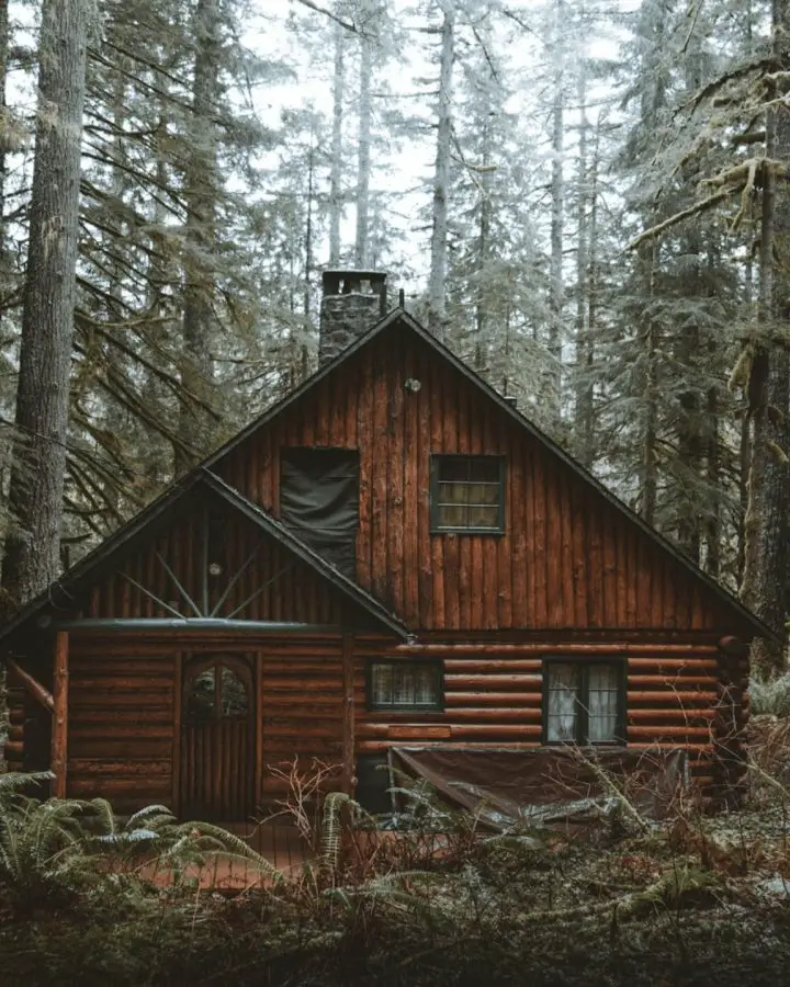 cabin living