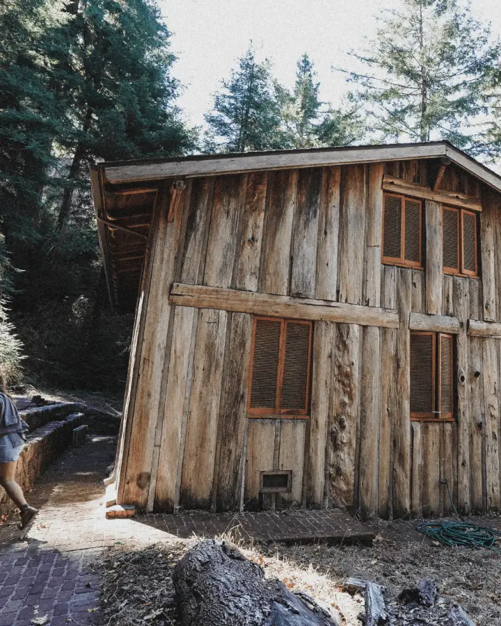 cabin living