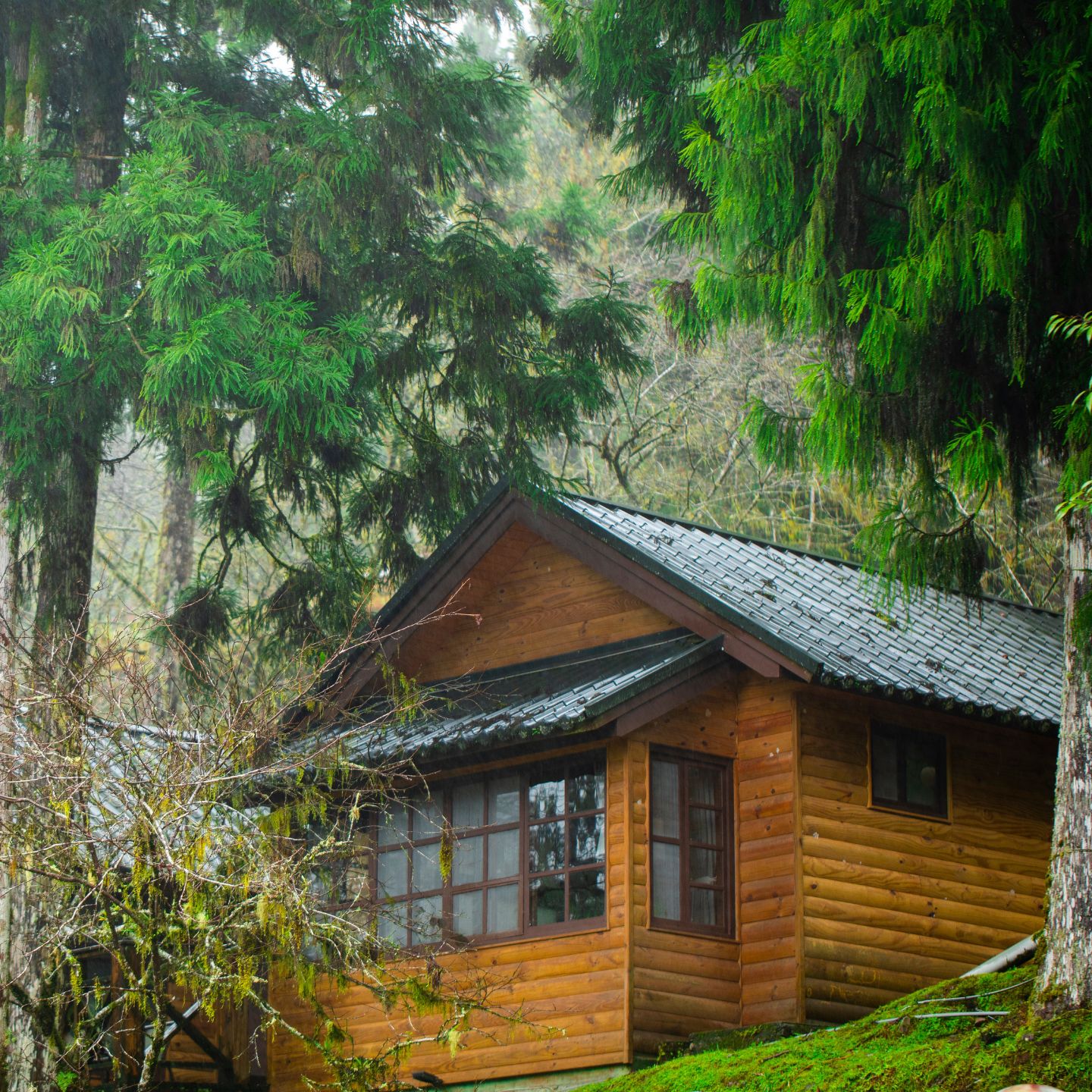 protecting your cabin from weather