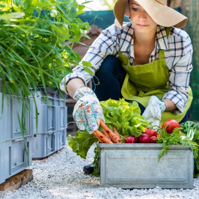 fruits and vegetables to grow at your cabin