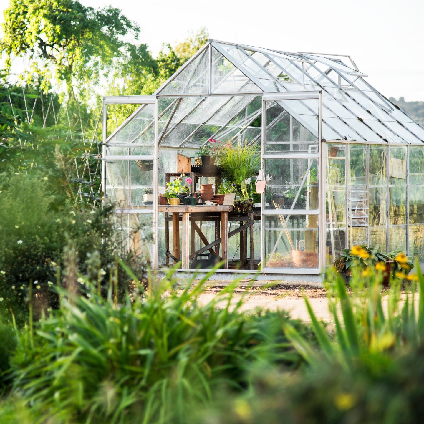 adding a greenhouse to your cabin