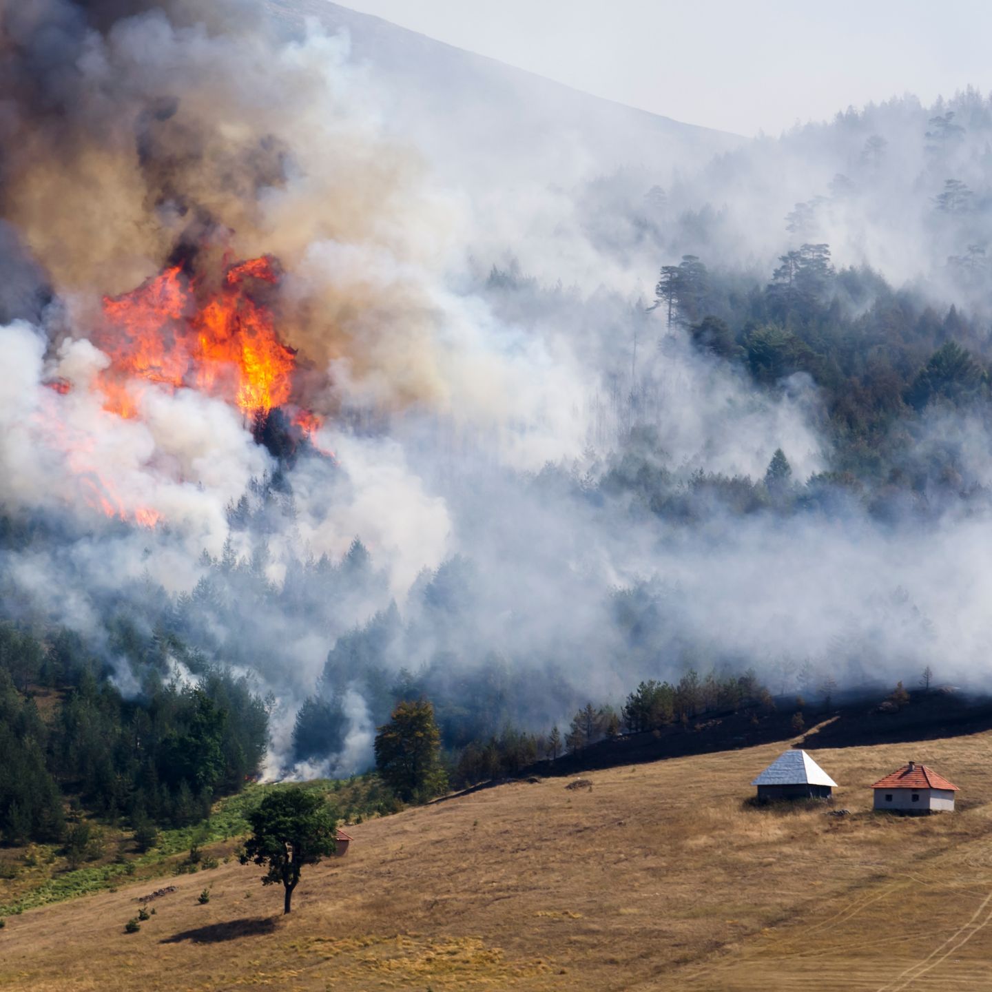 prepare for wildfire and stay safe