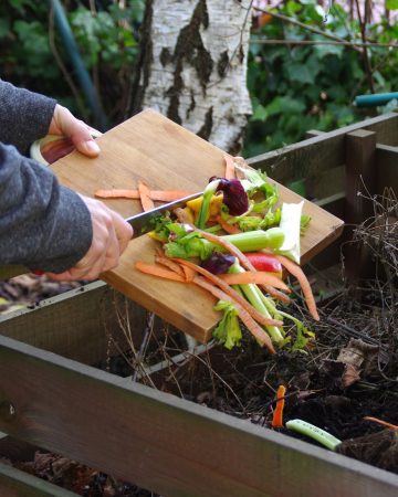 practice mindful waste